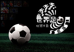 20130206 世界足球日