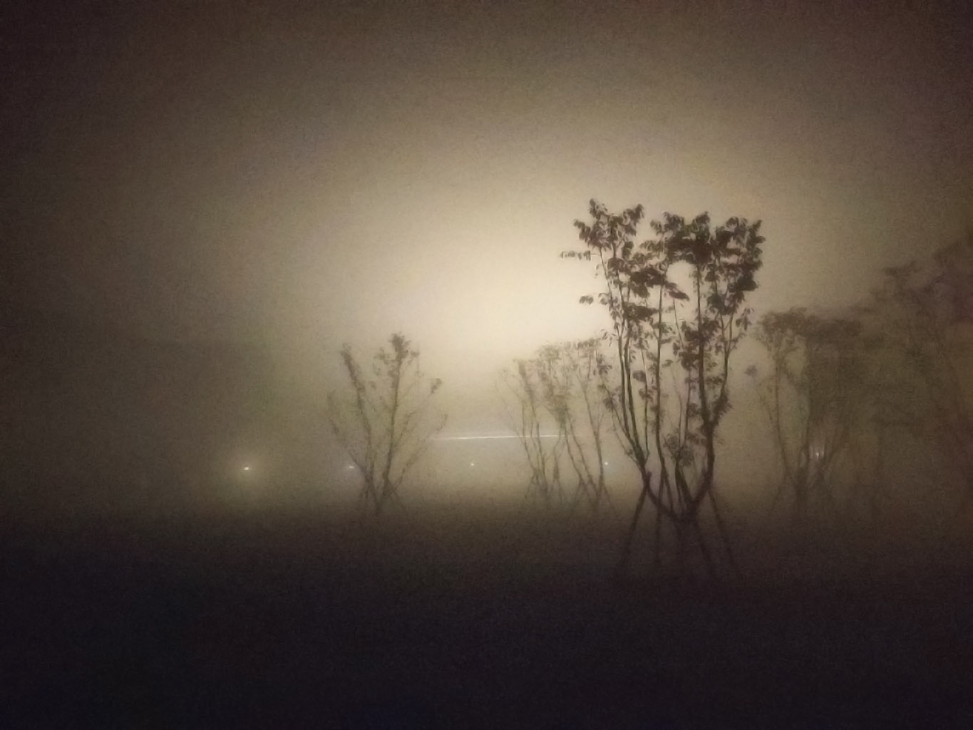 20181130 Mist at Zhejiang University